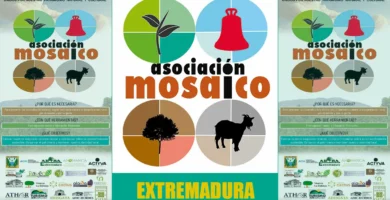 MOSAICO Extremadura: la estrategia que une campo y ciencia para prevenir los grandes incendios forestales