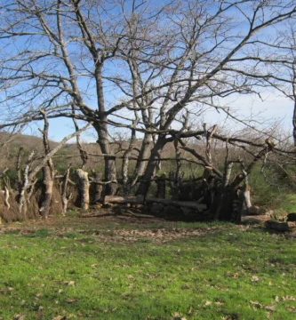 Teatro Intrépido en el Norte de Extremadura