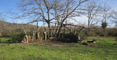 Teatro Intrépido en el Norte de Extremadura